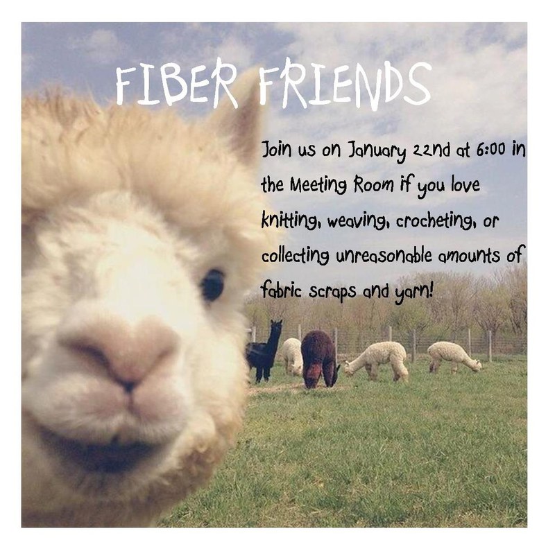 fiber friends 1.22.19.jpg