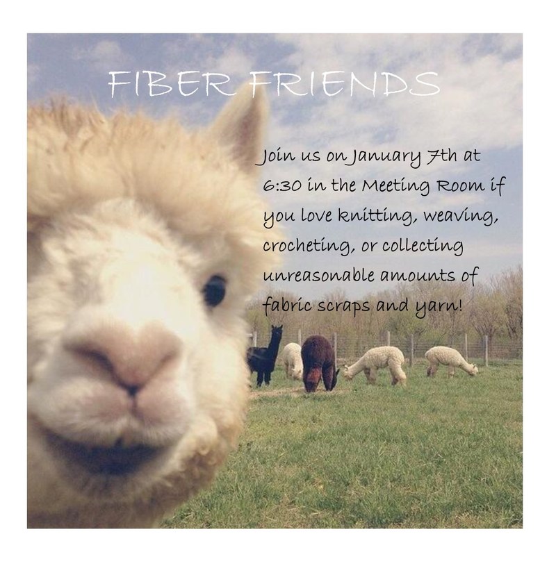 fiber friends 1.7.20.jpg