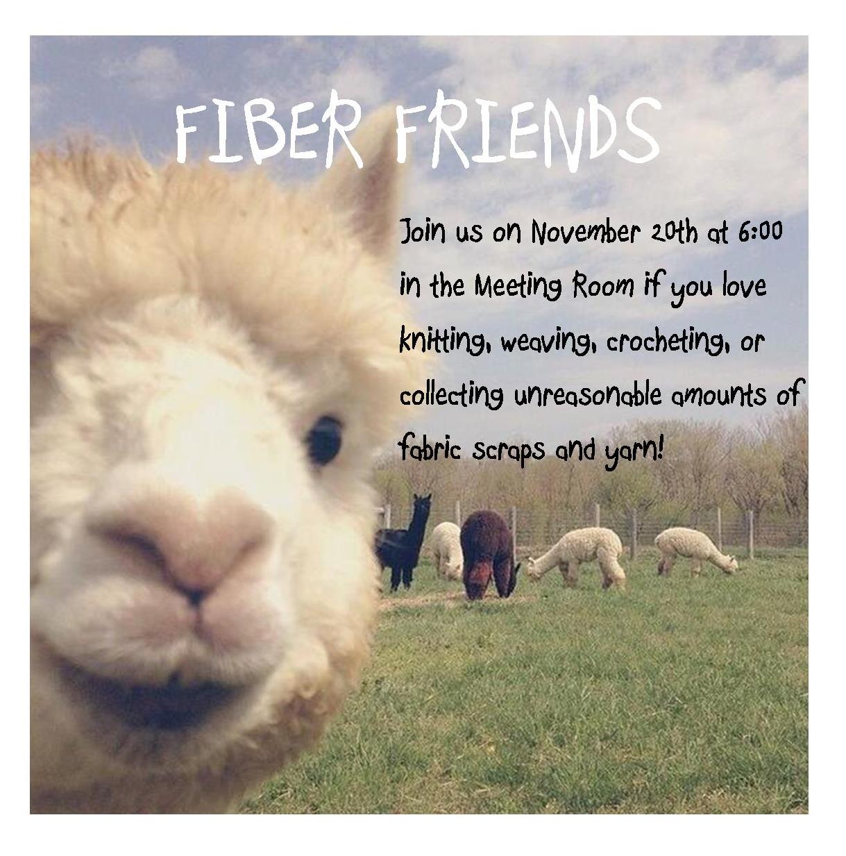 fiber friends 11.20.18.jpg