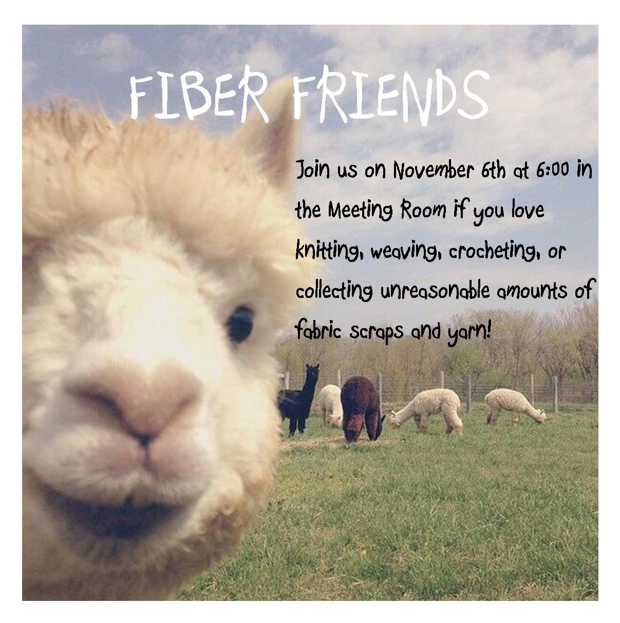 fiber friends 11.6.18.jpg