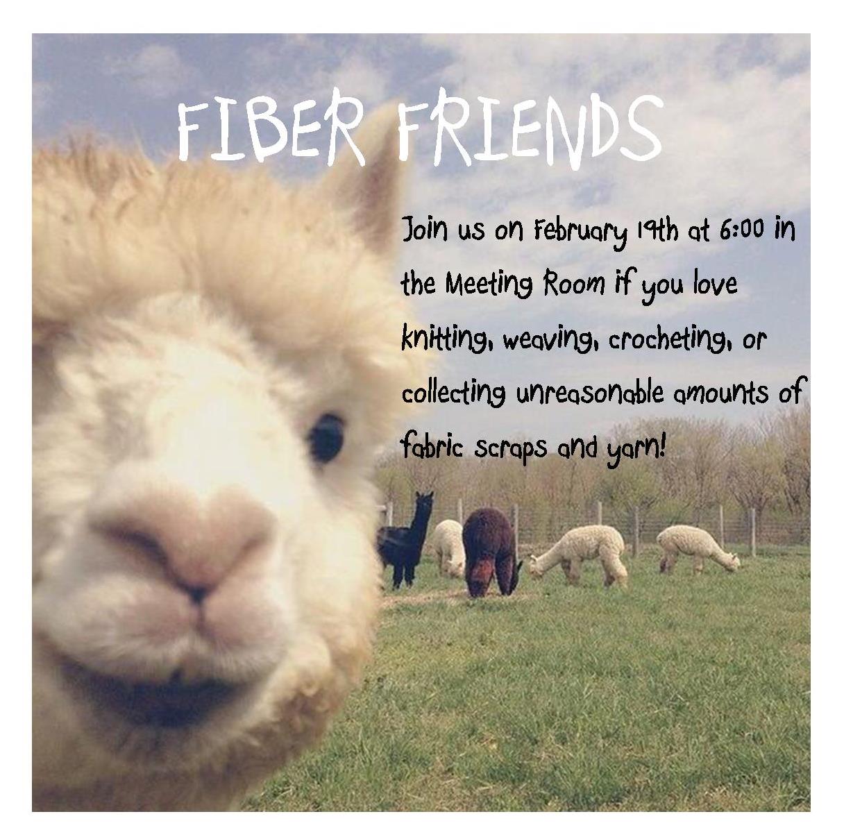 fiber friends 2.19.19.jpg
