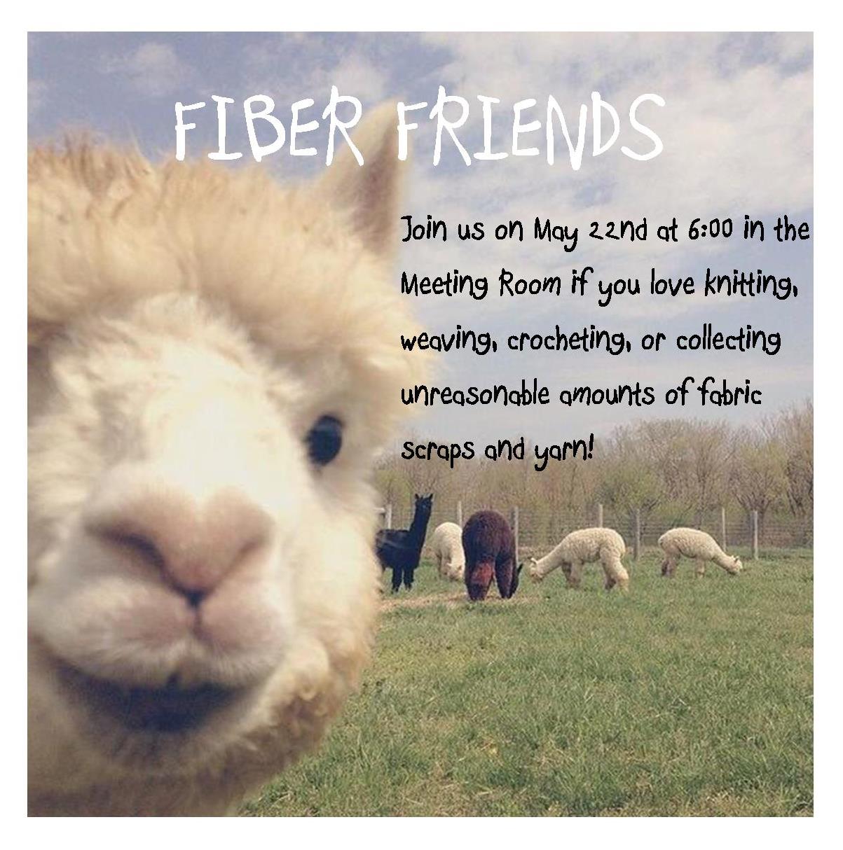 fiber friends 5.22.18.jpg