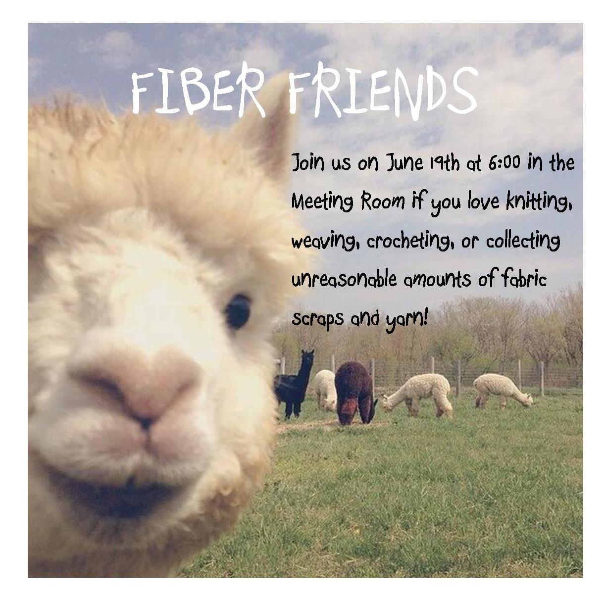 fiber friends 6.19.18.jpg