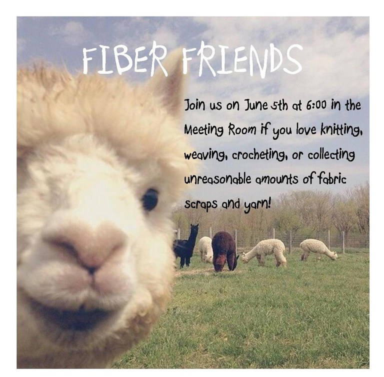 fiber friends 6.5.18.jpg