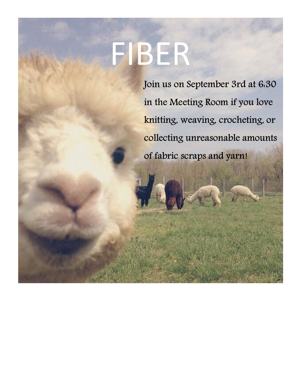fiber friends 9.3.19.jpg