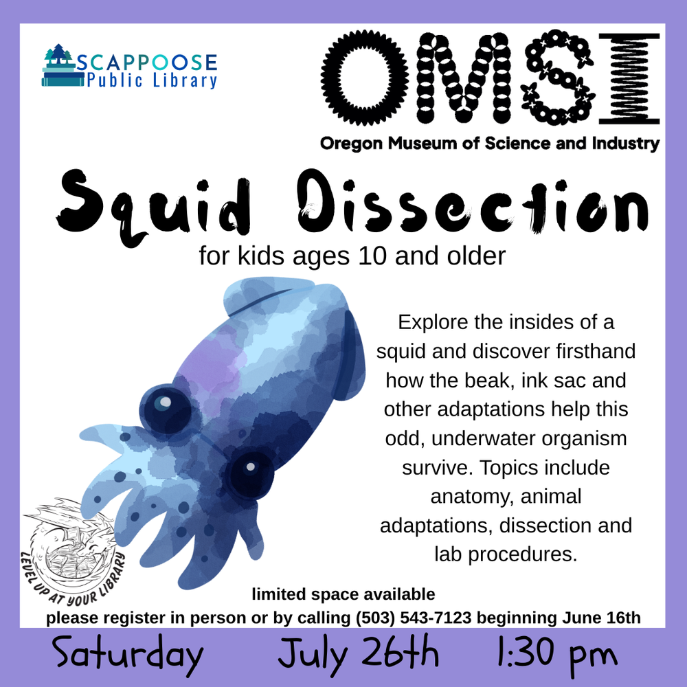 Scappoose Public Library. OMSI: Oregon Museum of Science and Industry. Squid Dissection for kids ages 10 and older. Explore the insides of a squid and discover firsthand how the beak, ink sac and other adaptations help this odd, underwater organism survive. Topics include anatomy, animal adaptations, dissection and lab procedures. Limited space available. Please register in person or by calling (503) 543-7123 beginning June 16th. Saturday, July 26th, 1:30 PM. Level up at your library. Includes art of a squid.