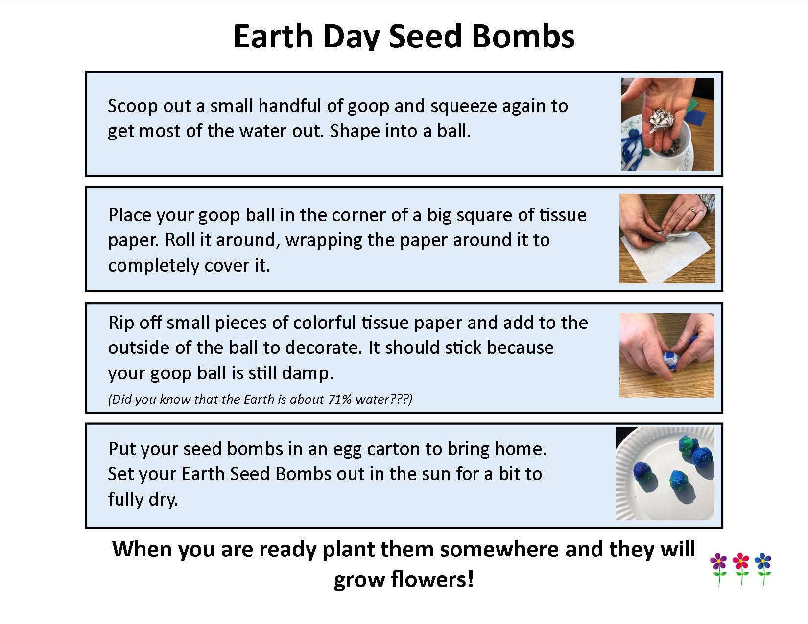 Seed Bombs 1.jpg