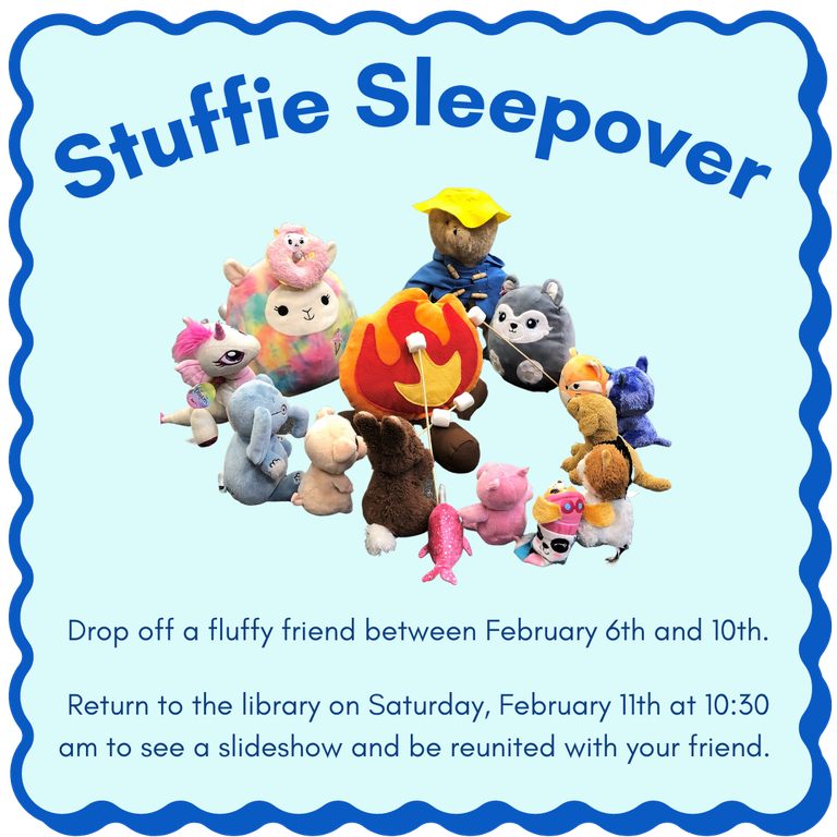 Stuffie Sleepover.png
