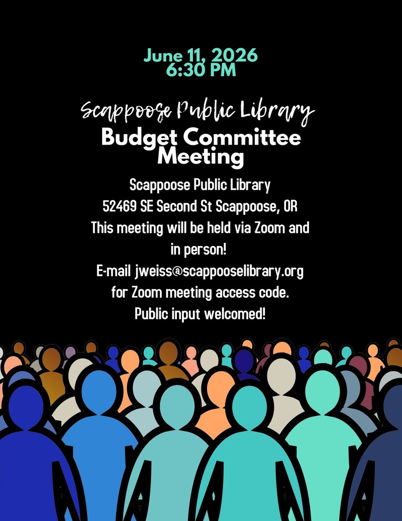 Budget Committee meeting graphic June 11.jpg