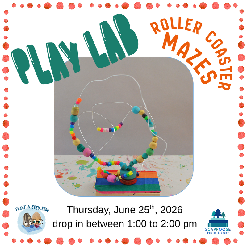 Play Lab Roller Coaster Mazes.png